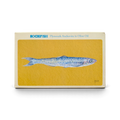 Rockfish Plymouth Anchovies in Olive Oil